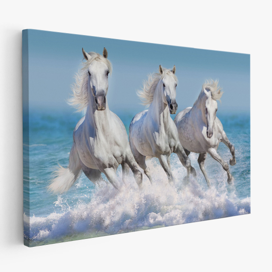 Canvas Print - Horses