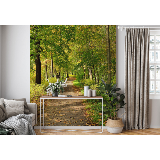 Panoramic Wallpaper - Wall Mural - Forest Path